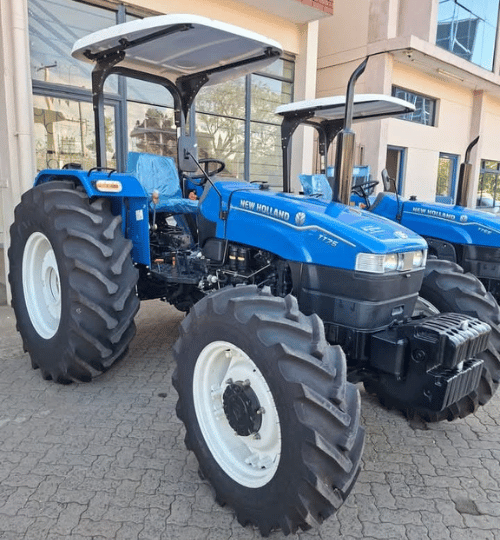 Untitled design (96)